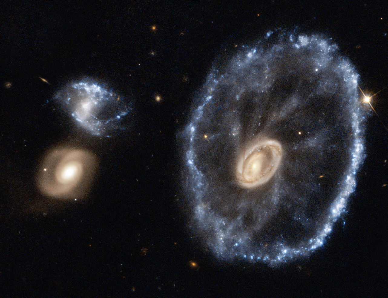 Webb Telescope Captures Stunning Image of the Cartwheel Galaxy