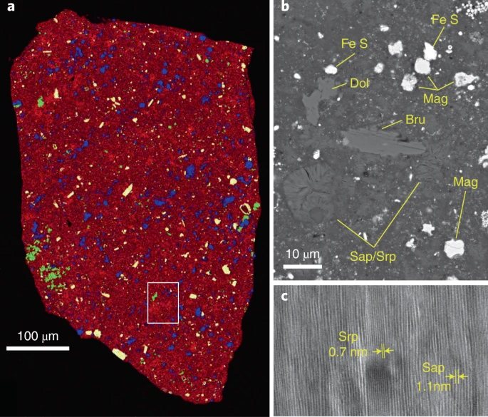 Asteroid Material Provides ‘Most Uncontaminated’ Extraterrestrial Samples Ever