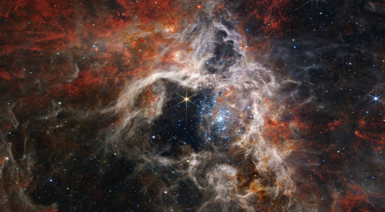 This Week in Space: Crickets, Cosmic Spiders, and Sass About the SLS